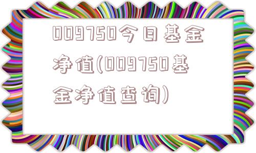 009750今日基金净值(009750基金净值查询)