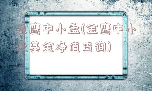 金鹰中小盘(金鹰中小盘基金净值查询)