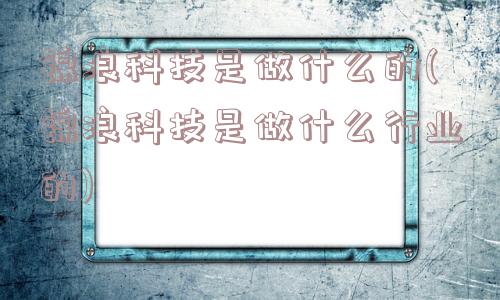 锦浪科技是做什么的(锦浪科技是做什么行业的)