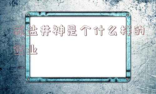 苏盐井神是个什么样的企业