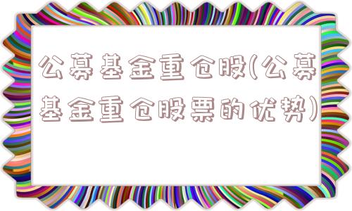 公募基金重仓股(公募基金重仓股票的优势)