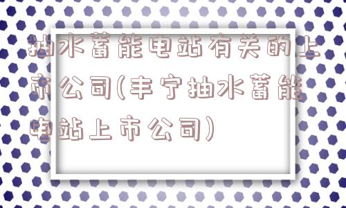 抽水蓄能电站有关的上市公司(丰宁抽水蓄能电站上市公司)