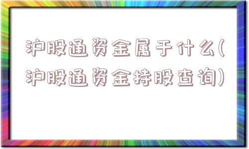 沪股通资金属于什么(沪股通资金持股查询)