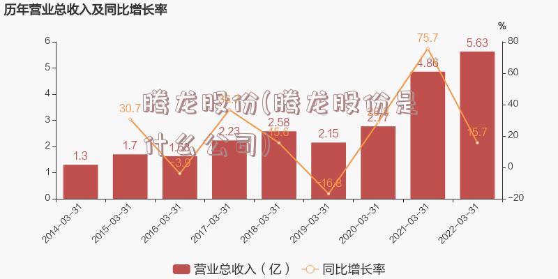 腾龙股份(腾龙股份是什么公司)