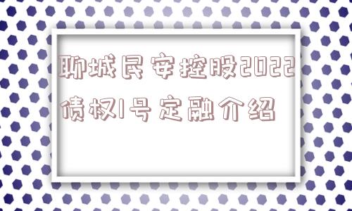 聊城民安控股2022债权1号定融介绍