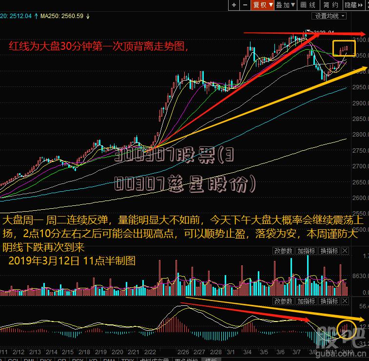 300307股票(300307慈星股份)