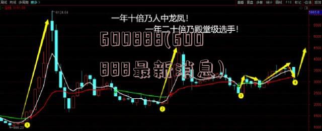 600888(600888最新消息)