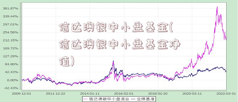 信达澳银中小盘基金(信达澳银中小盘基金净值)