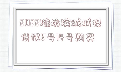 2022潍坊滨城城投债权8号14号购买