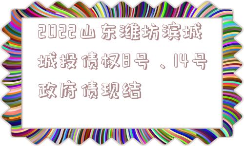 2022山东潍坊滨城城投债权8号、14号政府债现结