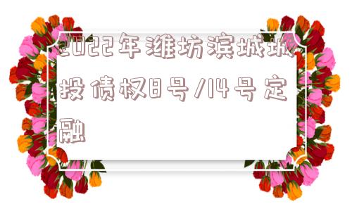 2022年潍坊滨城城投债权8号/14号定融