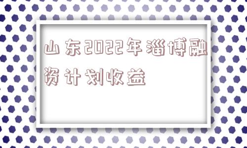 山东2022年淄博融资计划收益