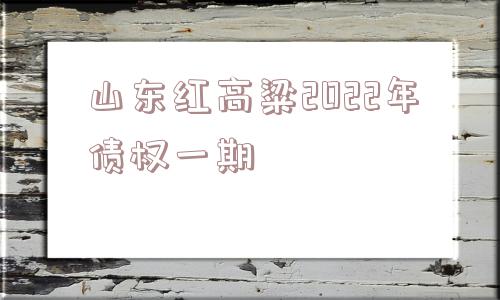 山东红高粱2022年债权一期