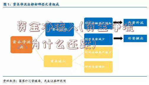 资金净流入(资金净流入为什么还跌)