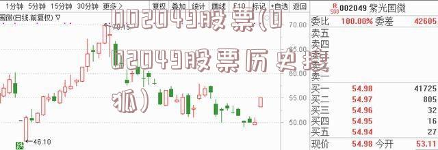 002049股票(002049股票历史搜狐)