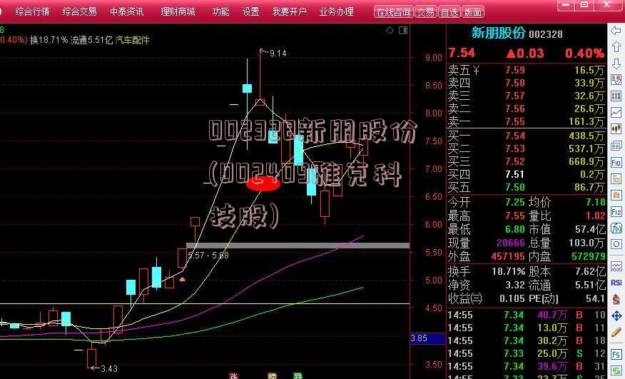 002328新朋股份(002409雅克科技股)