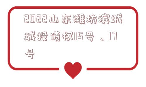 2022山东潍坊滨城城投债权15号、17号