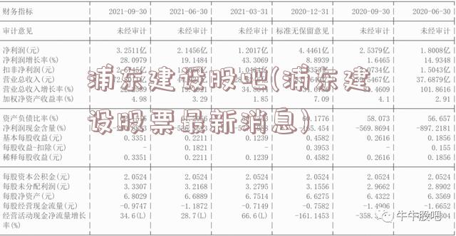 浦东建设股吧