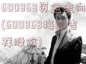 600868资金流向(600868梅雁吉祥股价)