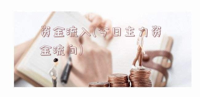 资金流入(今日主力资金流向)