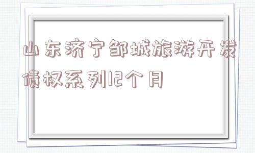 山东济宁邹城旅游开发债权系列12个月