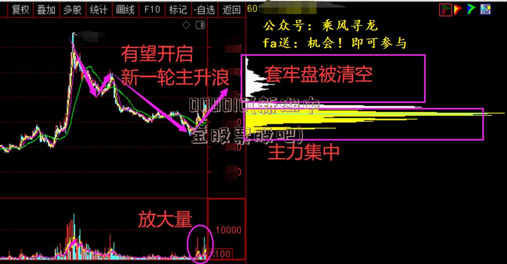 000010(新湖中宝股票股吧)