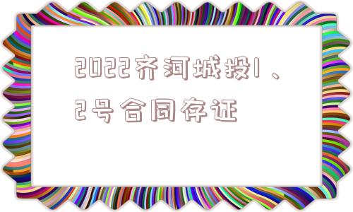 2022齐河城投1、2号合同存证