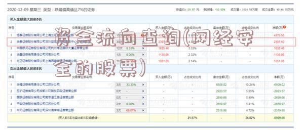 资金流向查询(网经安全的股票)