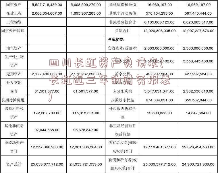 四川长虹资产负债表(长虹近三年的财务报表)