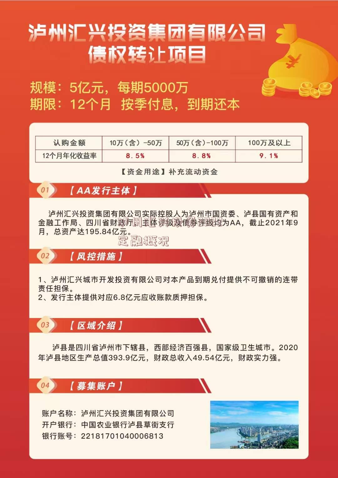 瀘州匯興投資集團有限公司債權轉讓項目