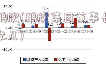 鹏欣(鹏欣集团董事长女儿)