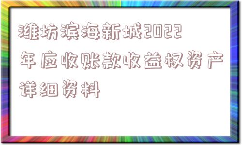 潍坊滨海新城2022年应收账款收益权资产详细资料