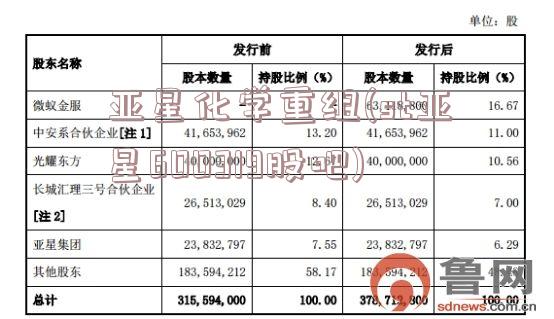 亚星化学重组(st亚星600319股吧)