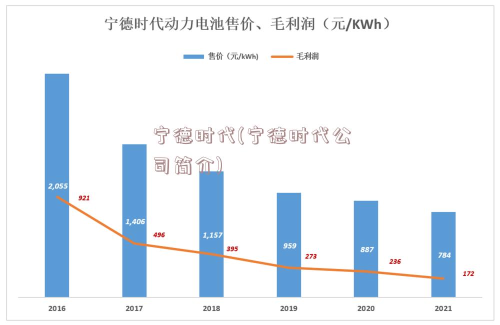 宁德时代(宁德时代公司简介)