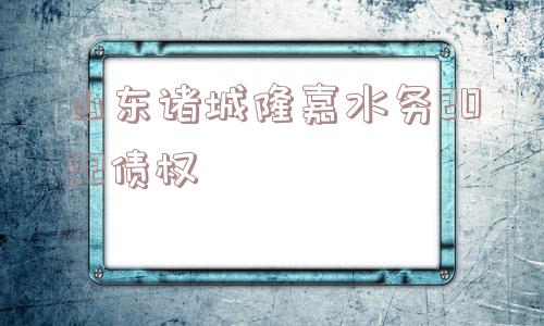 山东诸城隆嘉水务2022债权