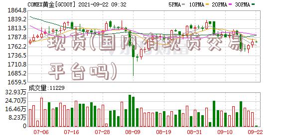 现货(国内有现货交易平台吗)