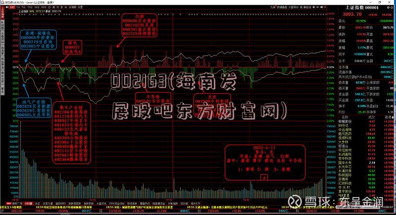 002163(海南发展股吧东方财富网)