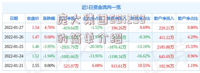 庞大集团601258的简单介绍