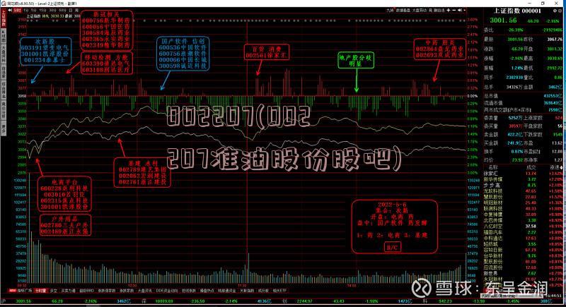 002207(002207准油股份股吧)