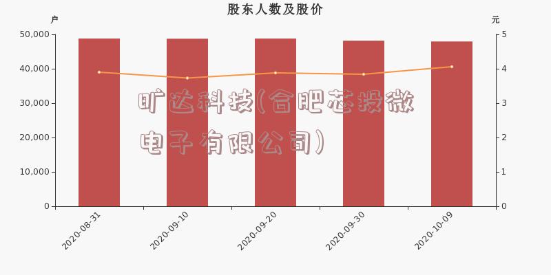 旷达科技(合肥芯投微电子有限公司)