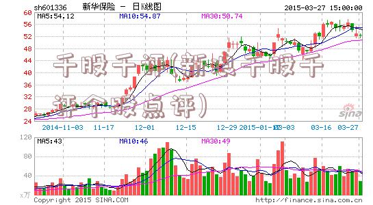 千股千评(新浪千股千评个股点评)