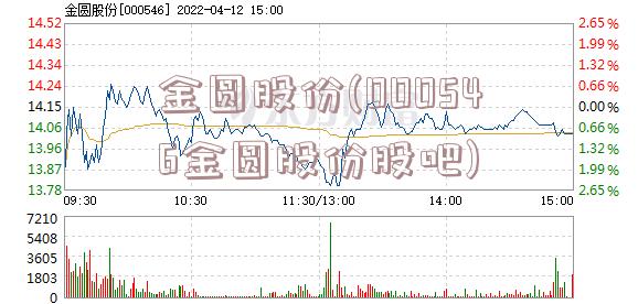 金圆股份(000546金圆股份股吧)