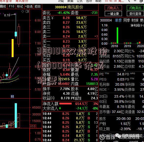 300100双林股份(000069华侨城股票)