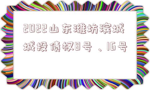 2022山东潍坊滨城城投债权8号、16号