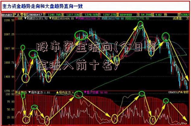 股市资金流向(今日资金流入前十名)