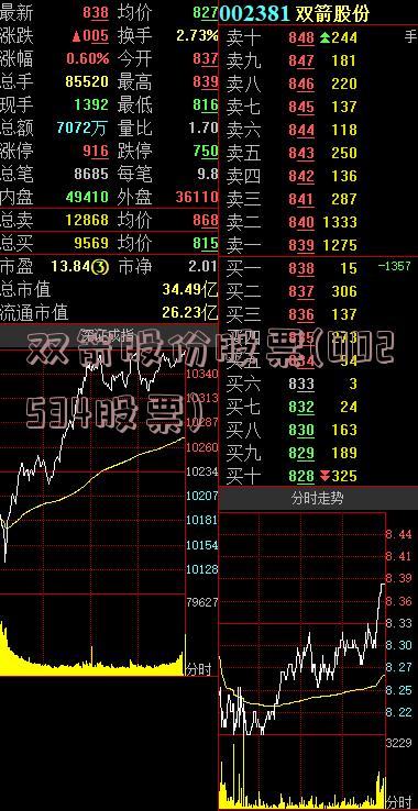 双箭股份股票(002534股票)