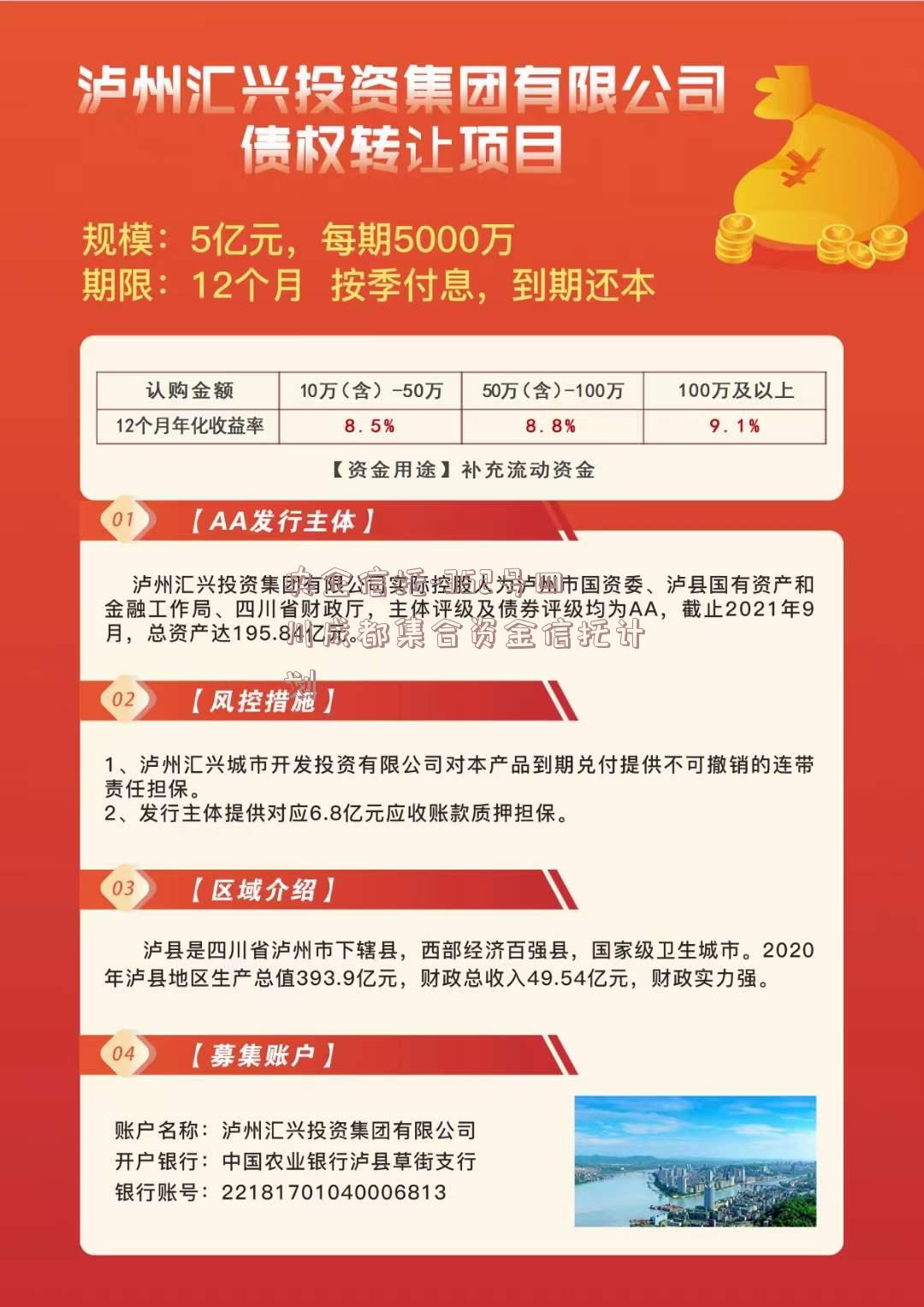 泸州汇兴投资集团有限公司债权转让项目