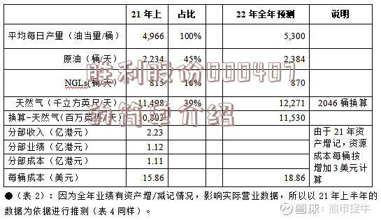 胜利股份000407的简单介绍