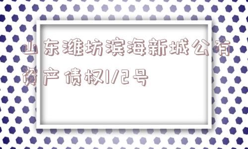 山东潍坊滨海新城公有资产债权1/2号