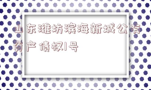 山东潍坊滨海新城公有资产债权1号